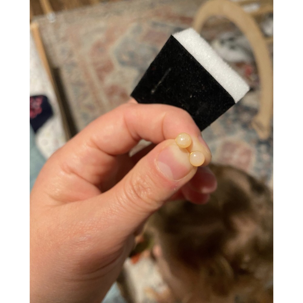 Σκουλαρίκια καστονάκι